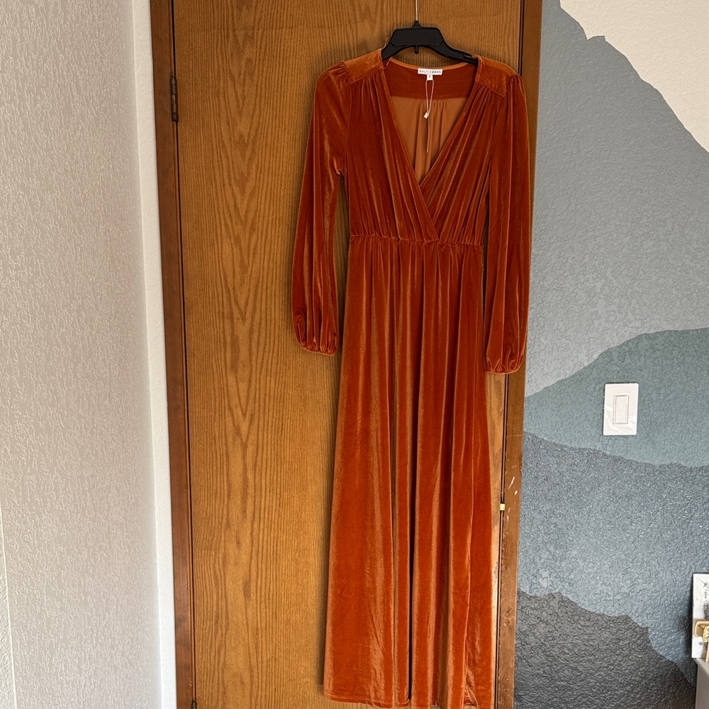 Baltic Born Rust Velvet Long Sleeve Dress